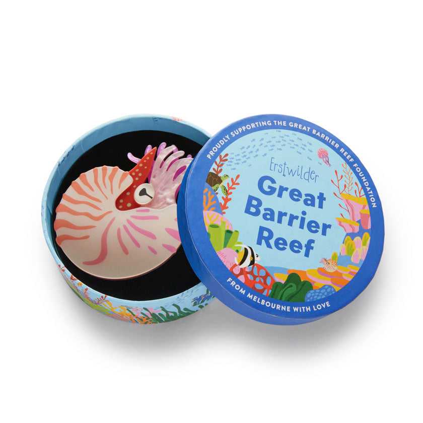 Chambered Nautilus Brooch