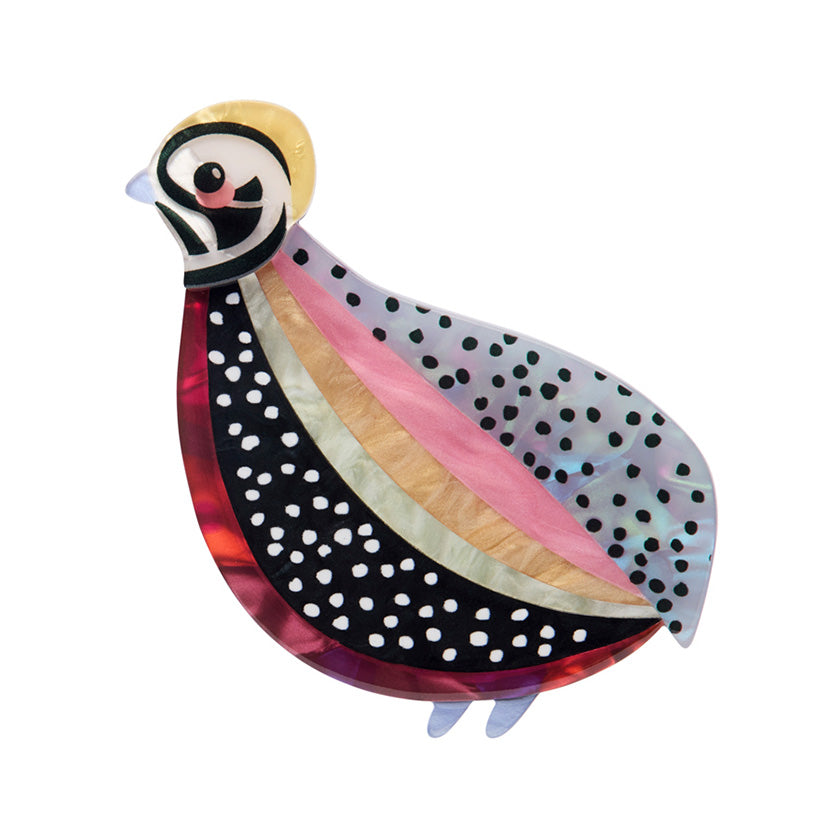 The Mysterious Montezuma Quail Brooch