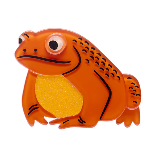 Warts and All Brooch