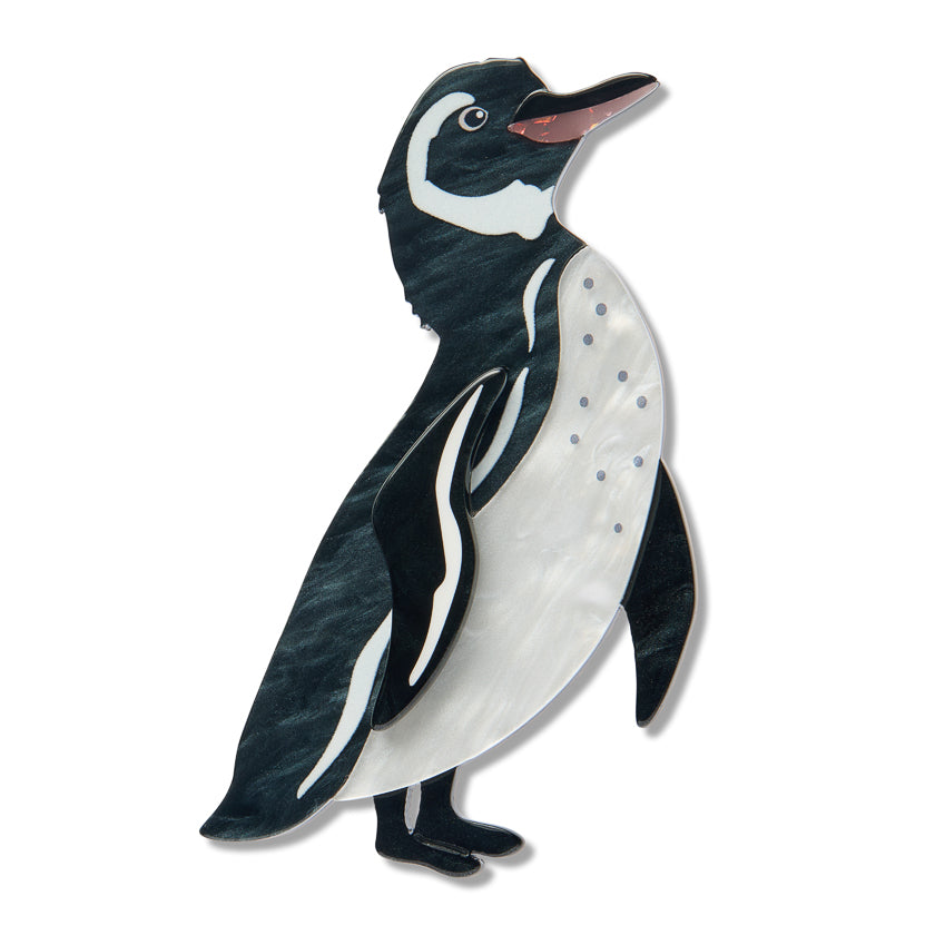 Galapagos Penguin Brooch