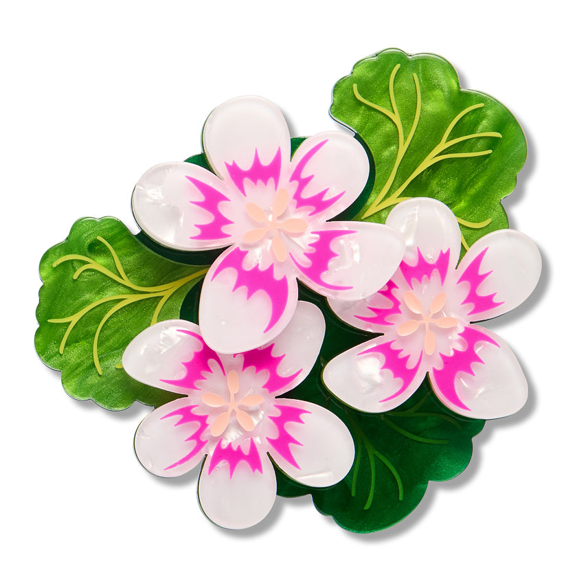Austral Stork's - Bill Brooch