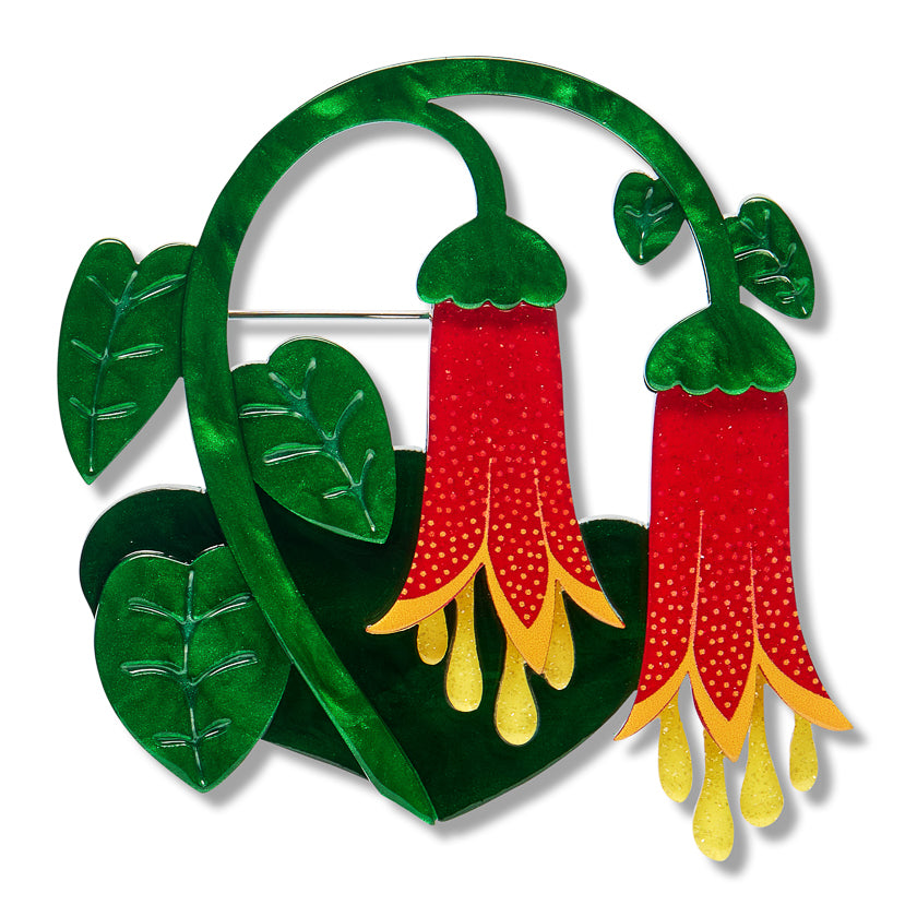 Common Correa Brooch