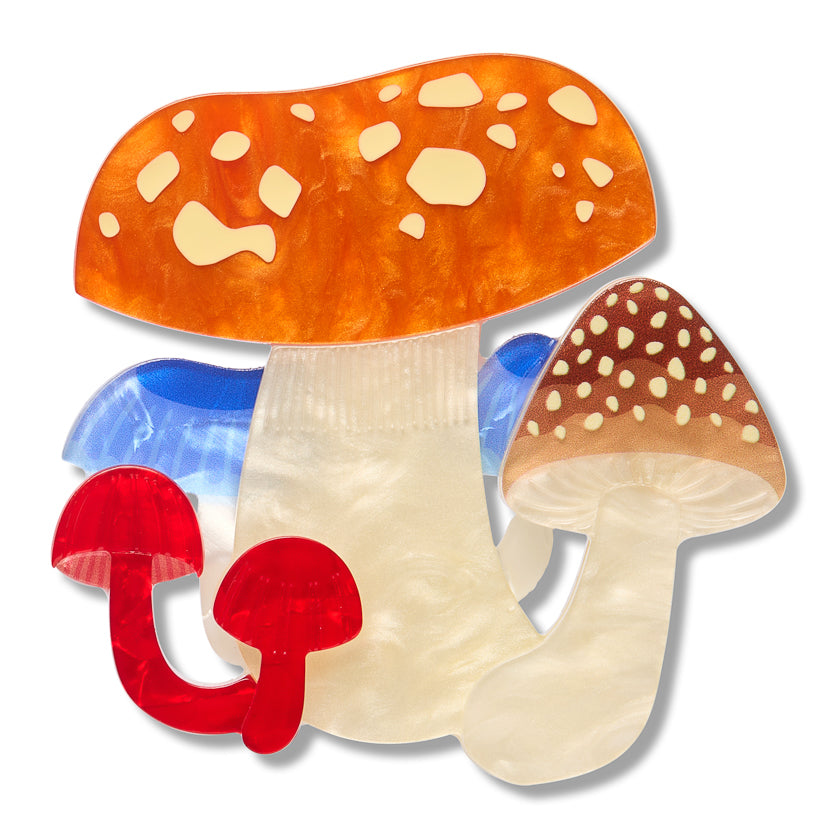 Native Mushroom Medley Brooch